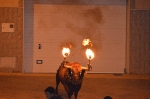 Terminan las Fiestas patronales de La Foia que iniciaron el 29 de abril