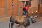 Terminan las Fiestas patronales de La Foia que iniciaron el 29 de abril