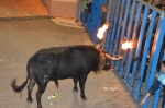 Terminan las Fiestas patronales de La Foia que iniciaron el 29 de abril