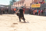 Vila-real inicia las fiestas de Sant Pasqual con un encierro rápido y limpio