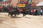 Vila-real inicia las fiestas de Sant Pasqual con un encierro rápido y limpio