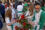 Multitudinaria ofrenda floral a Sant Pasqual