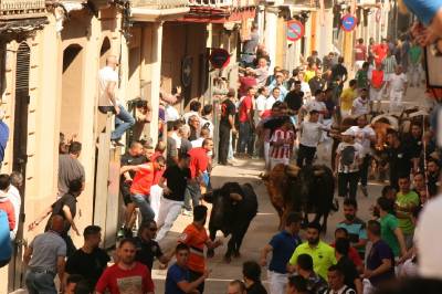 Fotografia /Galeria/2016/5/143456_80012/2_M1.jpg