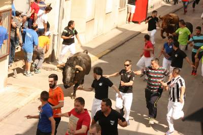 Fotografia /Galeria/2016/5/143456_80012/3_M1.jpg