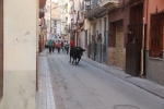 La feria taurina de Almassora toma el relevo al fervor religioso por Santa Quitèria