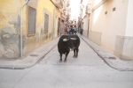 La feria taurina de Almassora toma el relevo al fervor religioso por Santa Quitèria
