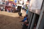La feria taurina de Almassora toma el relevo al fervor religioso por Santa Quitèria