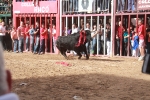 La feria taurina de Almassora toma el relevo al fervor religioso por Santa Quitèria