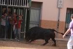 La feria taurina de Almassora toma el relevo al fervor religioso por Santa Quitèria