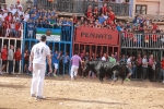 La feria taurina de Almassora toma el relevo al fervor religioso por Santa Quitèria