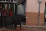 La feria taurina de Almassora toma el relevo al fervor religioso por Santa Quitèria