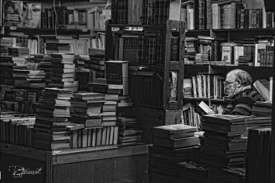 Fotografia /Galeria/2016/5/143619_80129/2_M1.jpg