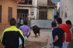 Los toros se dejan ver por todo el recinto