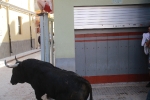 Los toros se dejan ver por todo el recinto