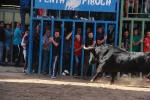 Los toros se dejan ver por todo el recinto