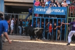 Los toros se dejan ver por todo el recinto