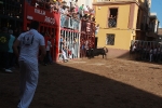 Los toros se dejan ver por todo el recinto