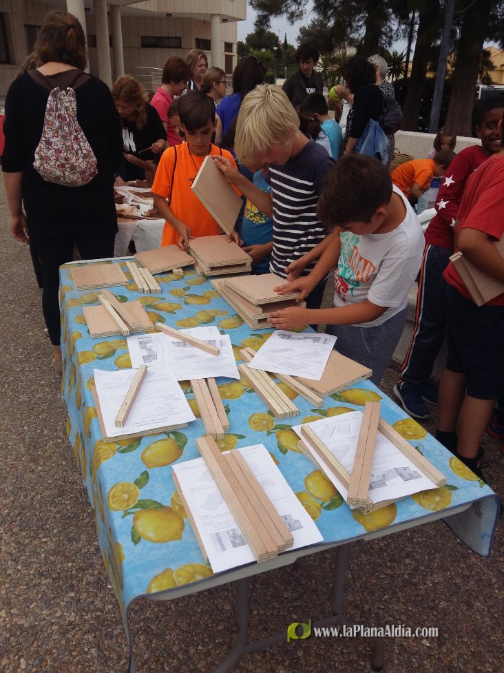 Nidos de murciélagos para combatir el mosquito tigre