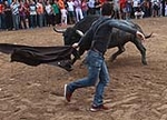 Almassora despide las exhibiciones taurinas con lleno a rebosar