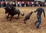 Almassora despide las exhibiciones taurinas con lleno a rebosar