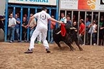 Almassora despide las exhibiciones taurinas con lleno a rebosar