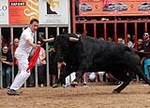 Almassora despide las exhibiciones taurinas con lleno a rebosar