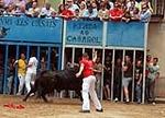 Almassora despide las exhibiciones taurinas con lleno a rebosar