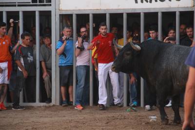 Fotografia /Galeria/2016/5/143819_80282/5_M1.jpg