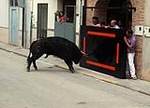 Almassora despide las exhibiciones taurinas con lleno a rebosar