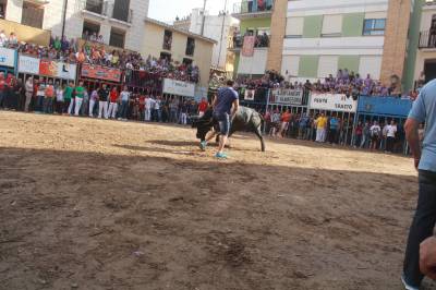 Fotografia /Galeria/2016/5/143819_80282/6_M1.jpg