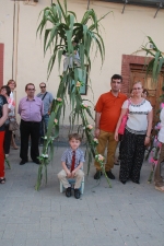 Nules celebra la 'Festa de les barraquetes'