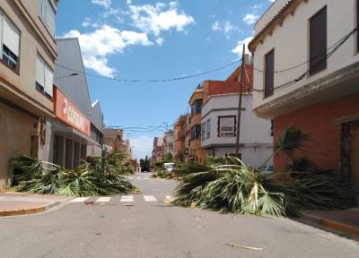 El Ayuntamiento de La Vilavella se 'carga' toda la vegetacin del Cam Rel