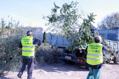 El servicio gratuito de recogida de poda retira 3.000 kilos de restos en el primer mes de actividad en Almassora