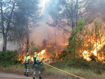 Fotografia /Galeria/2016/7/146016_81932/2_M1.jpg