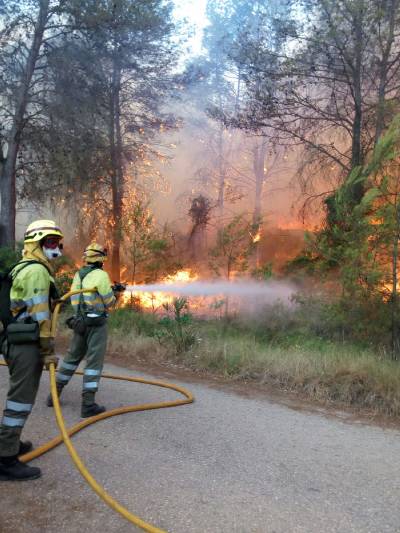 Fotografia /Galeria/2016/7/146016_81932/5_M1.jpg