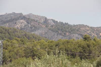 Fotografia /Galeria/2016/7/146045_81950/2_M1.jpg