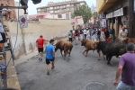 La Vall inicia las exhibiciones taurinas