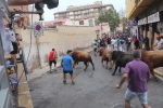 La Vall inicia las exhibiciones taurinas