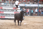 La Vall inicia las exhibiciones taurinas