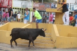 La Vall inicia las exhibiciones taurinas