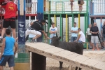 La Vall inicia las exhibiciones taurinas