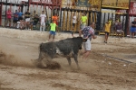 La Vall inicia las exhibiciones taurinas