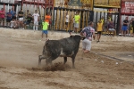 La Vall inicia las exhibiciones taurinas