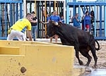 Encierro limpio, tarde de sustos