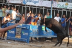 Encierro limpio, tarde de sustos