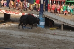 Encierro limpio, tarde de sustos