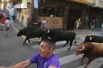 Las reses de Fernando Mansilla divierten la tarde de martes de Les Penyes en Festes