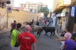 Las reses de Fernando Mansilla divierten la tarde de martes de Les Penyes en Festes