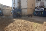 Fiestas Patronales de la pedanía alcorina de Araya