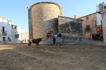 Fiestas Patronales de la pedanía alcorina de Araya